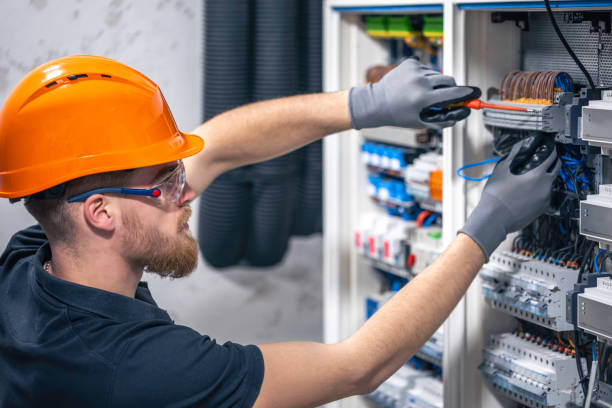 Best Electric Panel Repair  in Cairo, GA